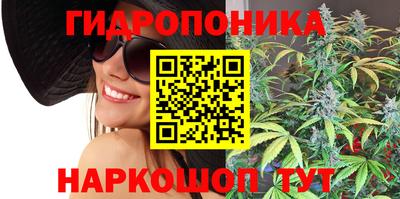 кокс Кингисепп