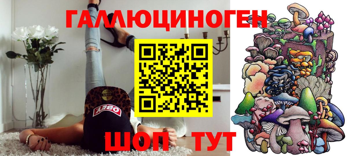 Галлюциногенные грибы GOLDEN TEACHER  Вход с VPN  Галлюциногенные грибы MAGIC MUSHROOMS  Камышлов 