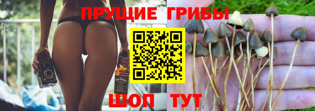 Галлюциногенные грибы ЛСД Камышлов